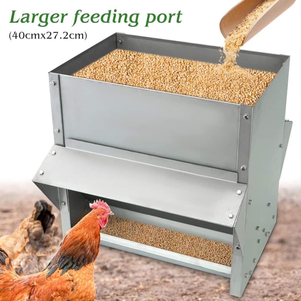 mangeoire poule automatique